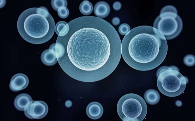 エリスロポエチン